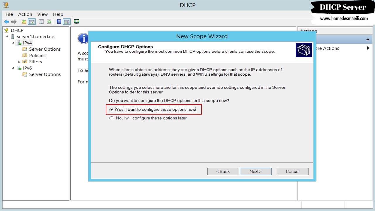 DHCP